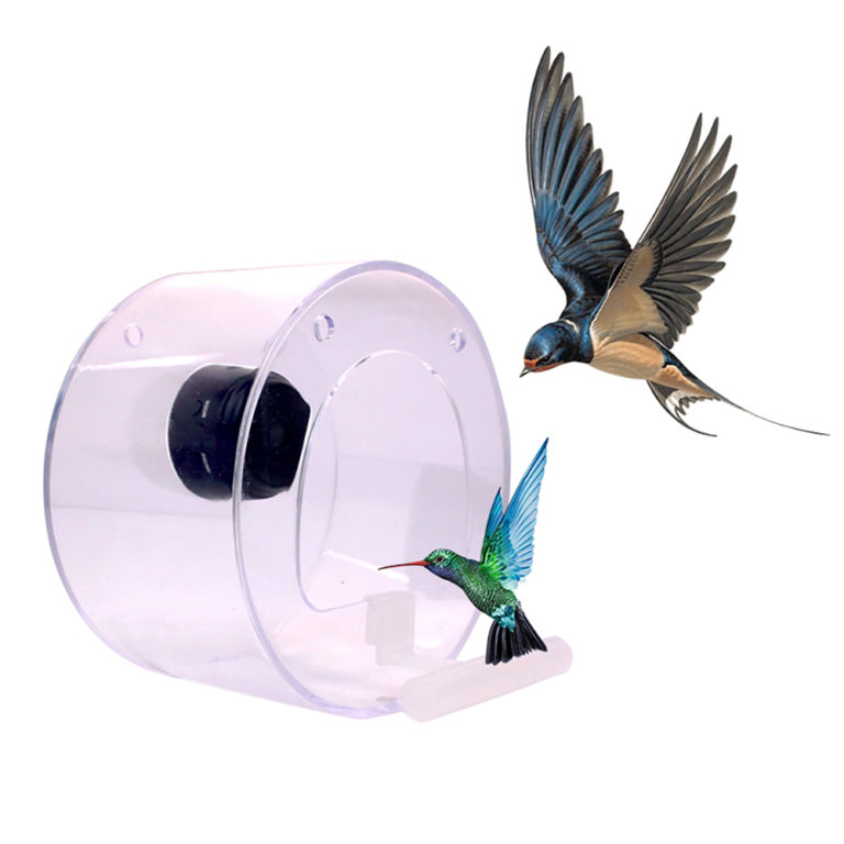 Cam-ra-sans-fil-WiFi-1080-HD-pour-observation-d-oiseaux-d-tection-d-oiseaux-Capture